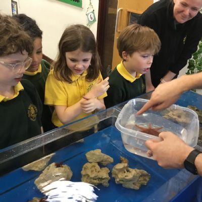 Y2 Rock Pool Experience